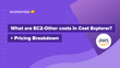 What are EC2-Other costs in Cost Explorer? Pricing Breakdown