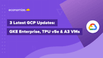 GKE Enterprise, TPU v5e & A3 VMs: What you need to know?